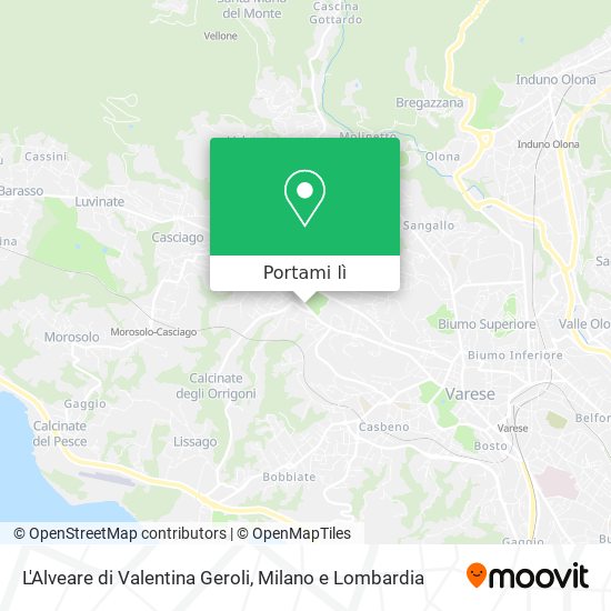 Mappa L'Alveare di Valentina Geroli