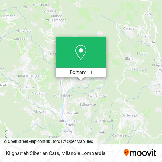 Mappa Kilgharrah Siberian Cats