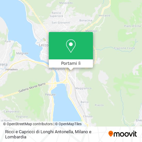 Mappa Ricci e Capricci di Longhi Antonella