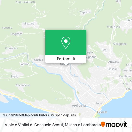 Mappa Viole e Violini di Consuelo Scotti