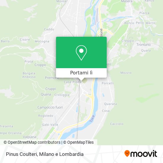 Mappa Pinus Coulteri