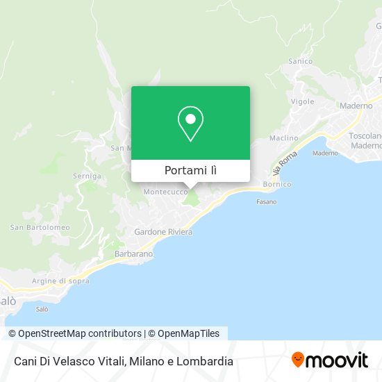 Mappa Cani Di Velasco Vitali