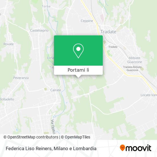 Mappa Federica Liso Reiners