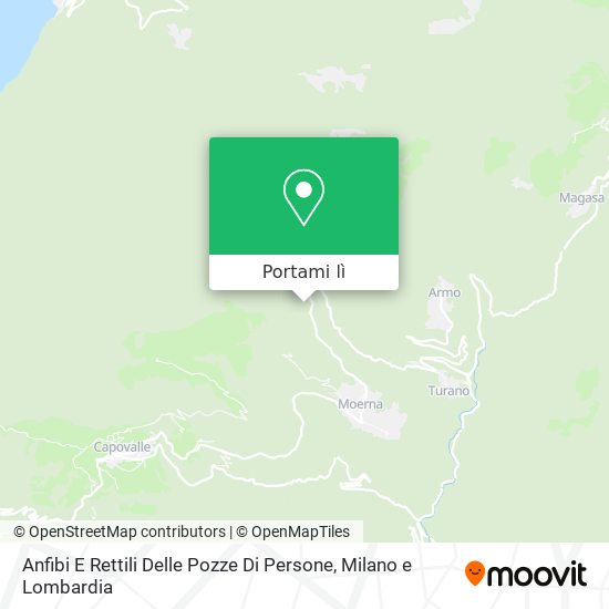 Mappa Anfibi E Rettili Delle Pozze Di Persone