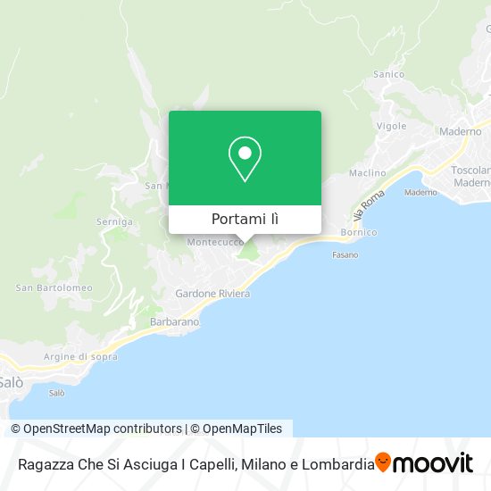 Mappa Ragazza Che Si Asciuga I Capelli