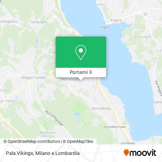 Mappa Pala Vikings