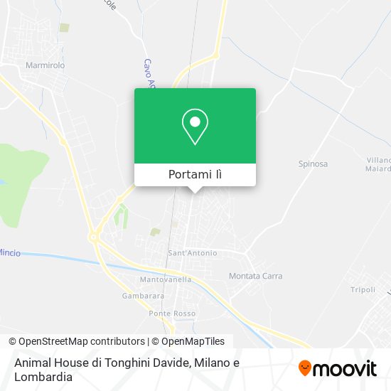 Mappa Animal House di Tonghini Davide