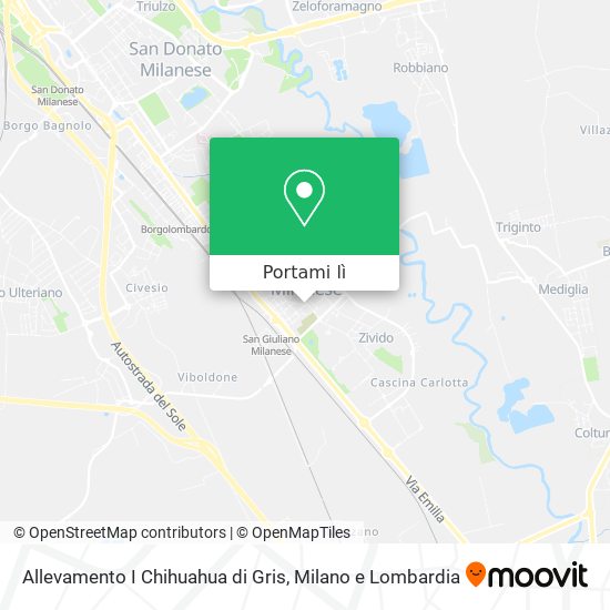 Mappa Allevamento I Chihuahua di Gris