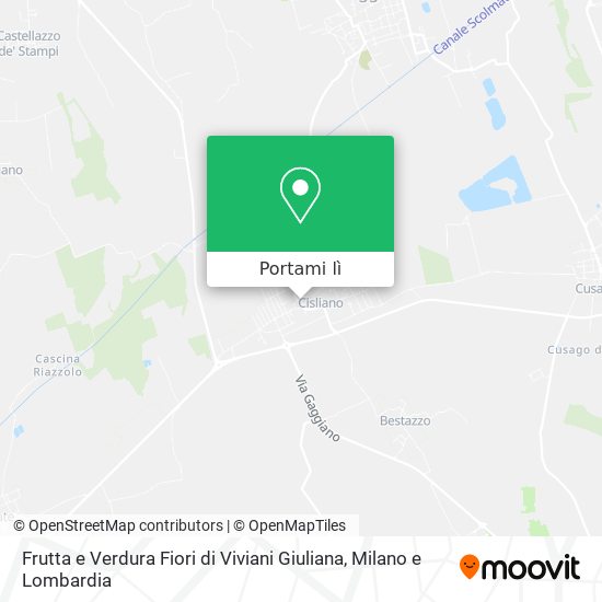 Mappa Frutta e Verdura Fiori di Viviani Giuliana