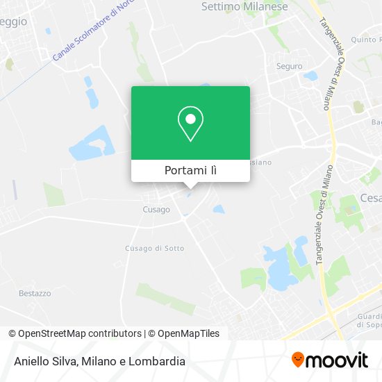 Mappa Aniello Silva