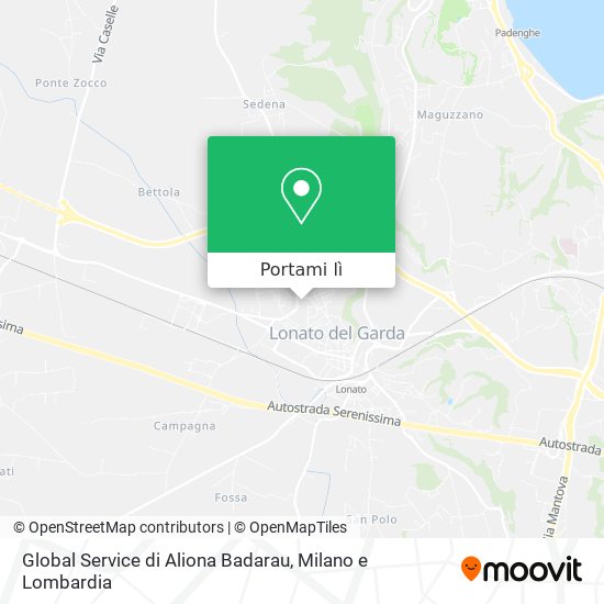 Mappa Global Service di Aliona Badarau