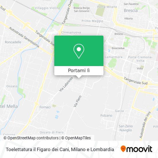 Mappa Toelettatura il Figaro dei Cani
