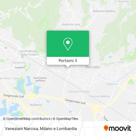 Mappa Veneziani Narcisa