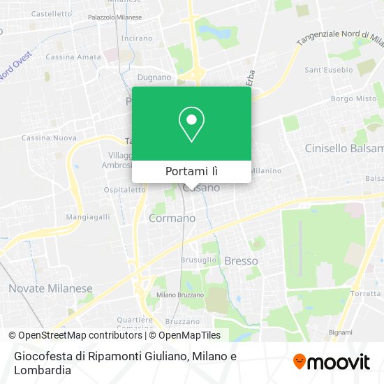 Mappa Giocofesta di Ripamonti Giuliano