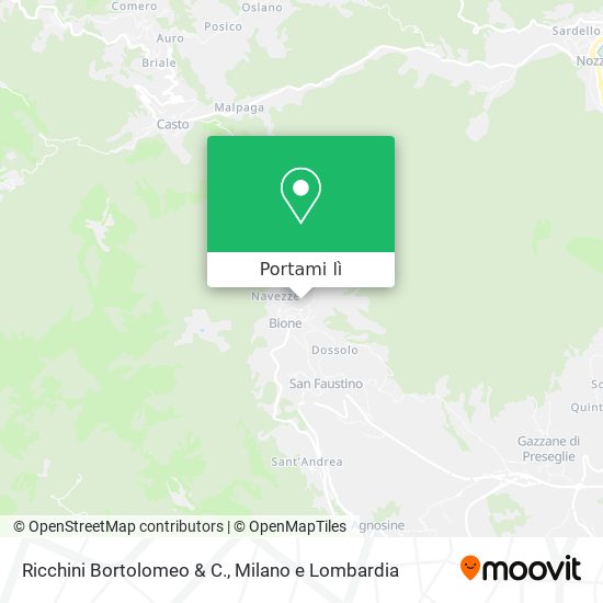 Mappa Ricchini Bortolomeo & C.