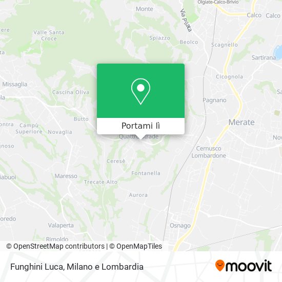Mappa Funghini Luca