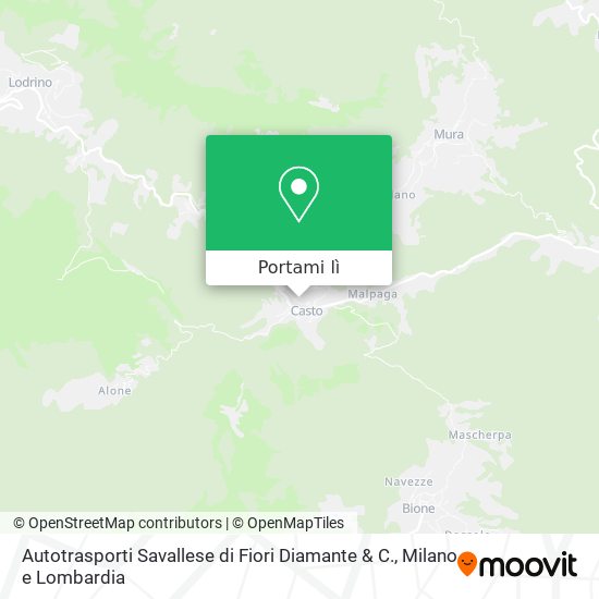 Mappa Autotrasporti Savallese di Fiori Diamante & C.
