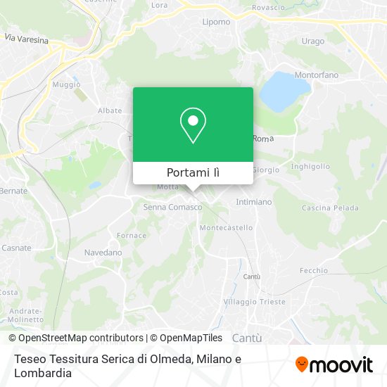 Mappa Teseo Tessitura Serica di Olmeda