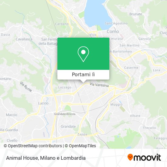 Mappa Animal House