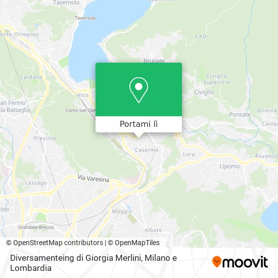 Mappa Diversamenteing di Giorgia Merlini