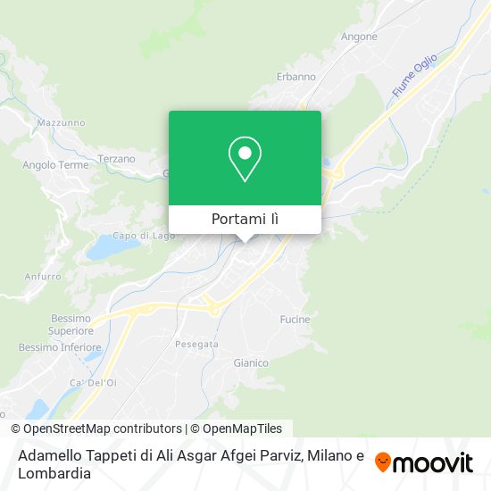 Mappa Adamello Tappeti di Ali Asgar Afgei Parviz