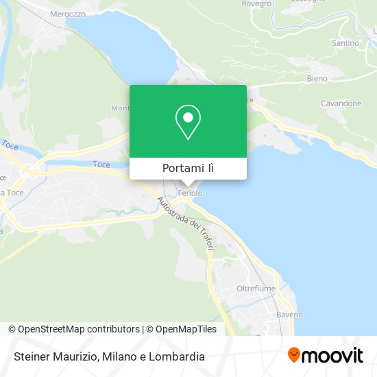 Mappa Steiner Maurizio