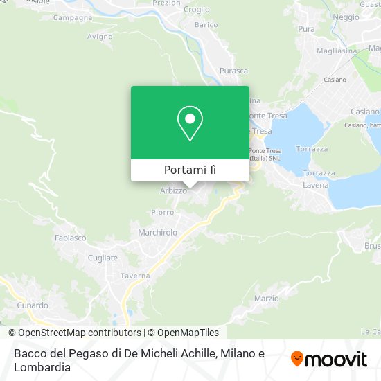 Mappa Bacco del Pegaso di De Micheli Achille