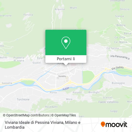 Mappa Viviana Ideale di Pessina Viviana