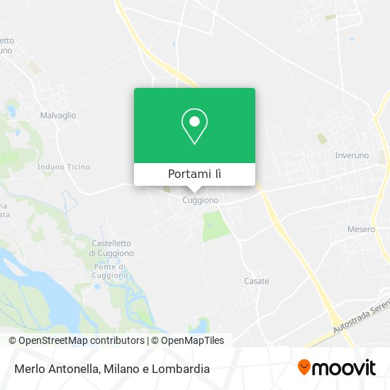 Mappa Merlo Antonella