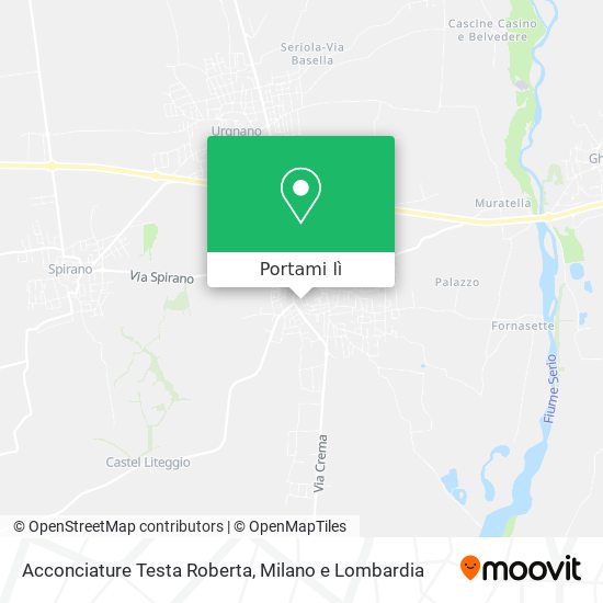 Mappa Acconciature Testa Roberta