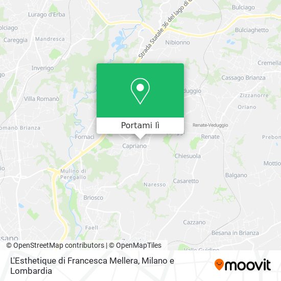Mappa L'Esthetique di Francesca Mellera