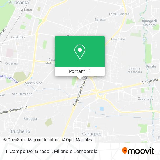 Mappa Il Campo Dei Girasoli