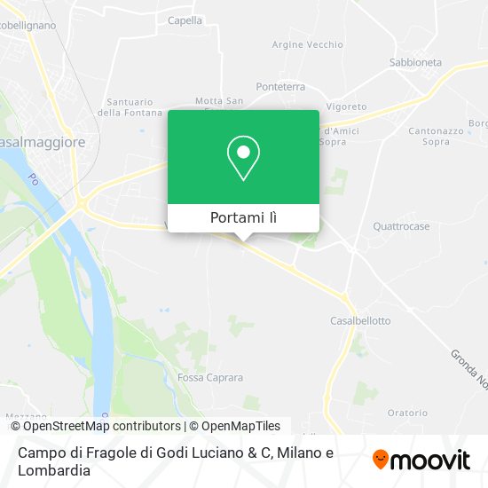 Mappa Campo di Fragole di Godi Luciano & C