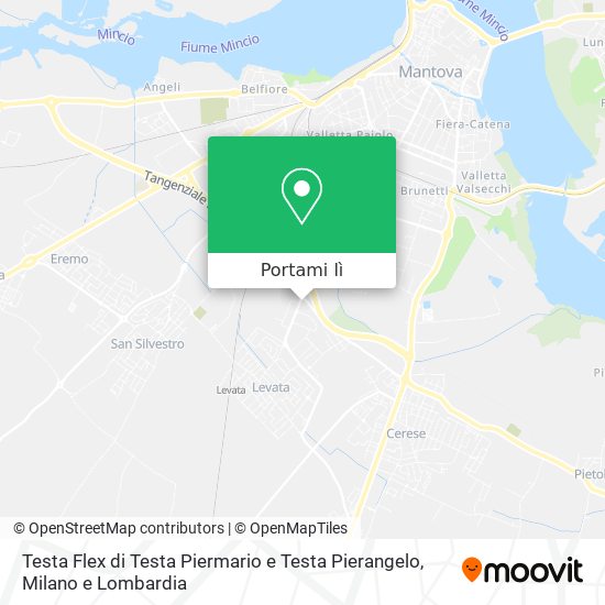 Mappa Testa Flex di Testa Piermario e Testa Pierangelo