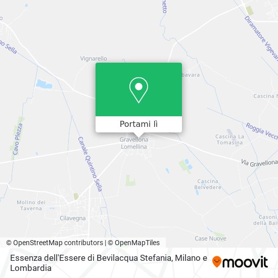 Mappa Essenza dell'Essere di Bevilacqua Stefania