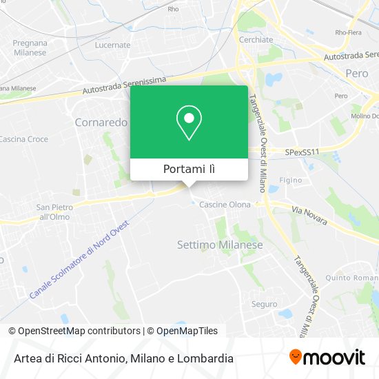 Mappa Artea di Ricci Antonio