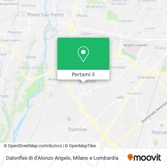 Mappa Dalonflex di d'Alonzo Angelo