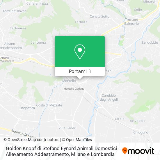 Mappa Golden Knopf di Stefano Eynard Animali Domestici Allevamento Addestramento