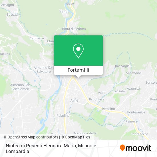 Mappa Ninfea di Pesenti Eleonora Maria