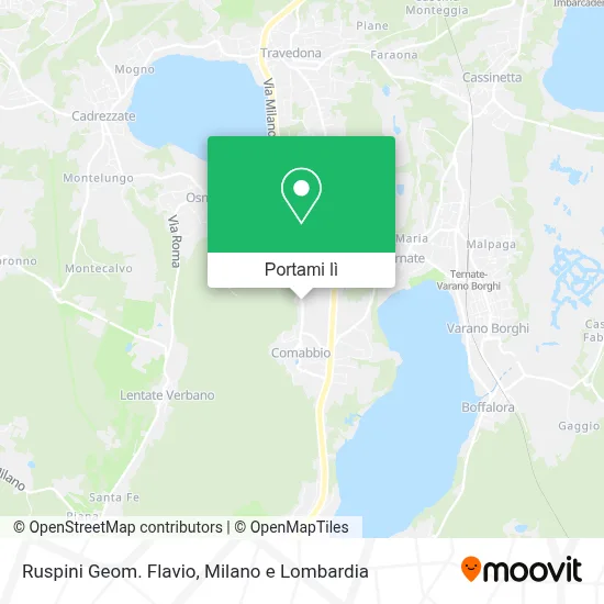 Mappa Ruspini Geom. Flavio