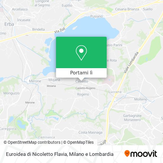 Mappa Euroidea di Nicoletto Flavia