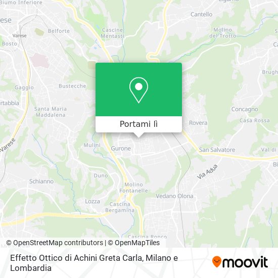 Mappa Effetto Ottico di Achini Greta Carla