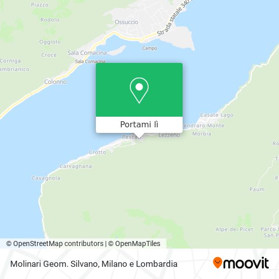 Mappa Molinari Geom. Silvano