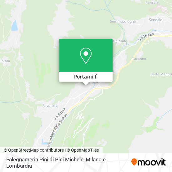 Mappa Falegnameria Pini di Pini Michele
