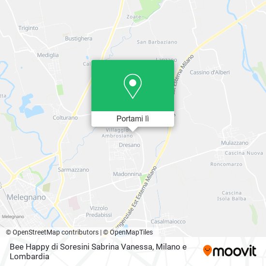 Mappa Bee Happy di Soresini Sabrina Vanessa