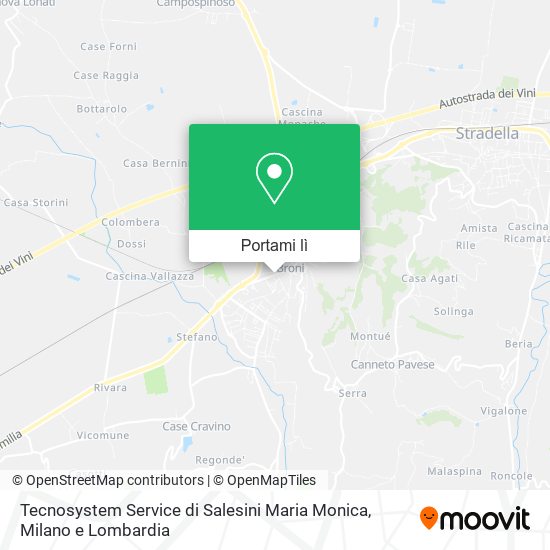 Mappa Tecnosystem Service di Salesini Maria Monica