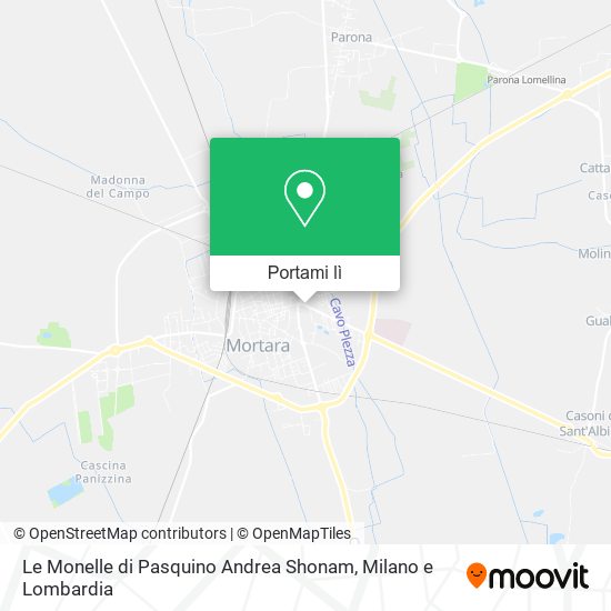 Mappa Le Monelle di Pasquino Andrea Shonam