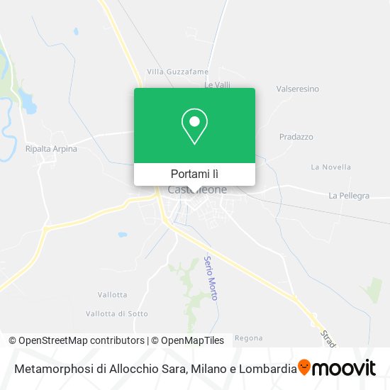 Mappa Metamorphosi di Allocchio Sara