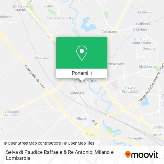 Mappa Selva di Paudice Raffaele & Re Antonio