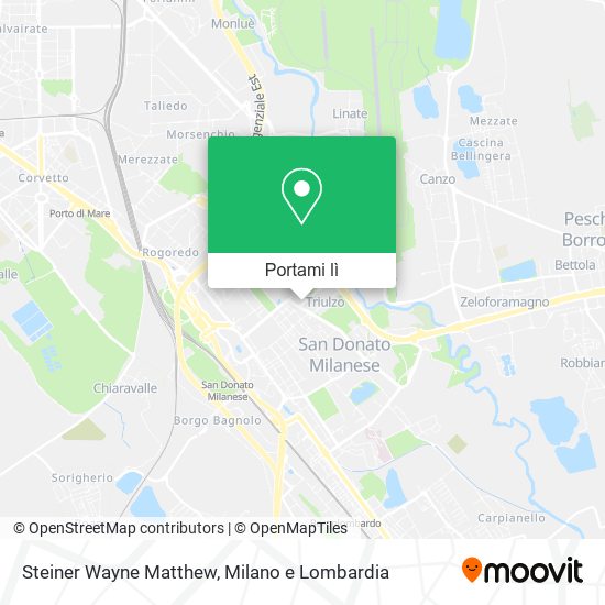 Mappa Steiner Wayne Matthew